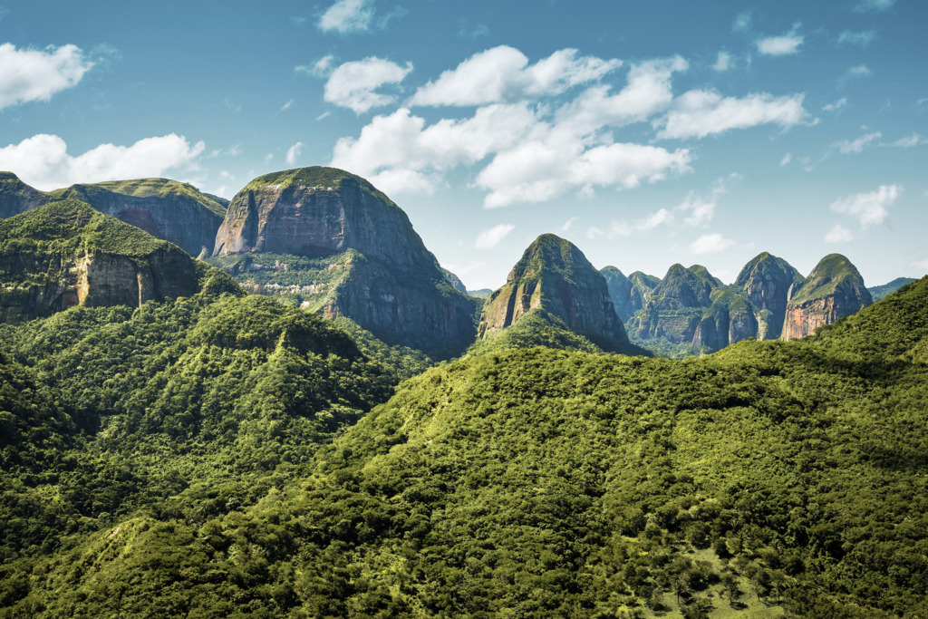 STIHL and the rainforest